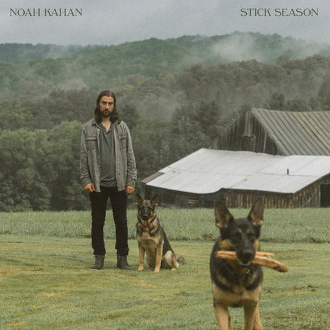 Noah Kahan - Stick Season (2xLP, chestnut vinyl)