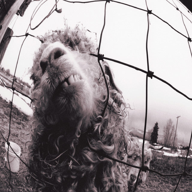 Pearl Jam - Vs (LP, clear vinyl)