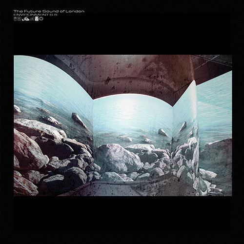 Future Sound Of London - Environment 6.5 (LP)