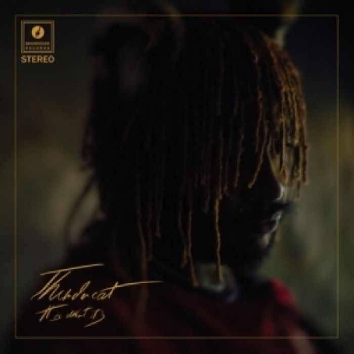 Thundercat - It Is What It Is (Gatefold LP, Clear vinyl)