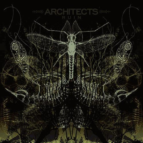 SALE: Architects - Ruin (LP) was £25.99