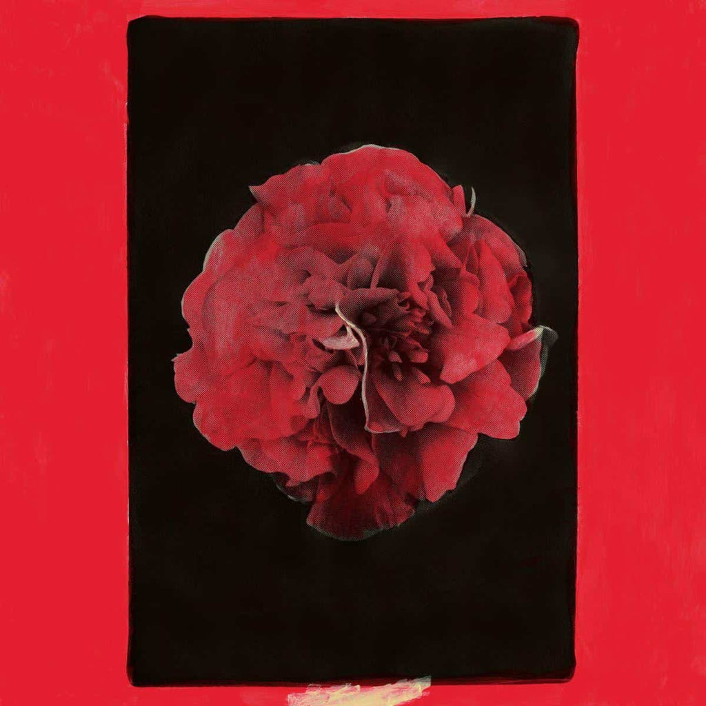 Activity - A Thousand Years in Another Way (LP)