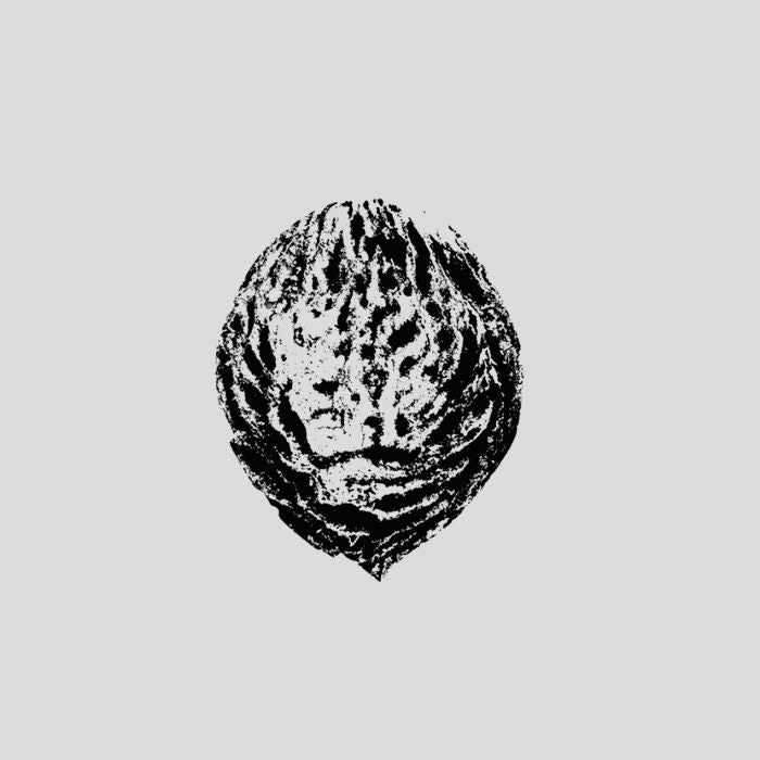Black Lips - Bebop Armageddon (Detours & Offcuts From Season of the Peach) (LP)