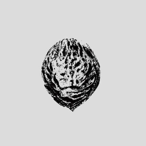 Black Lips - Bebop Armageddon (Detours & Offcuts From Season of the Peach) (LP)