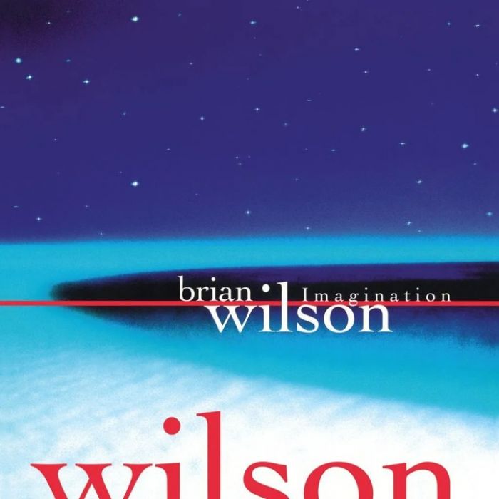 [RSD26] Brian Wilson - Imagination (LP)