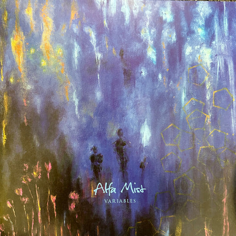 Alfa Mist - Variables (LP)