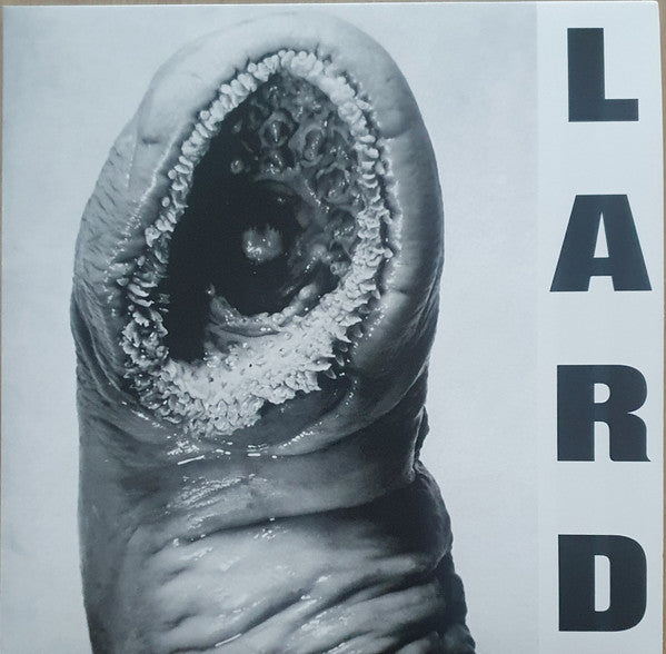Lard - The Power Of Lard EP (12", white vinyl)