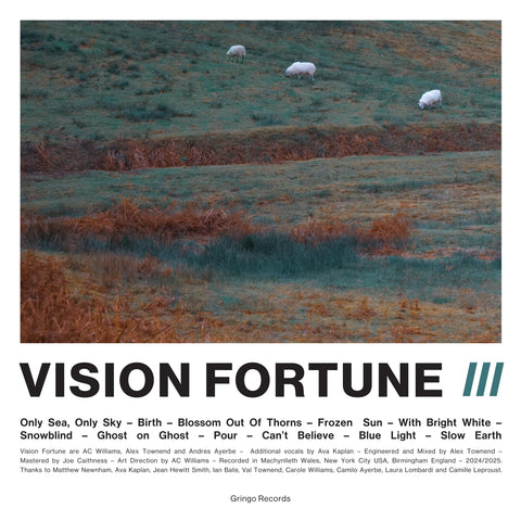 Vision Fortune - III (LP, eco mix vinyl)