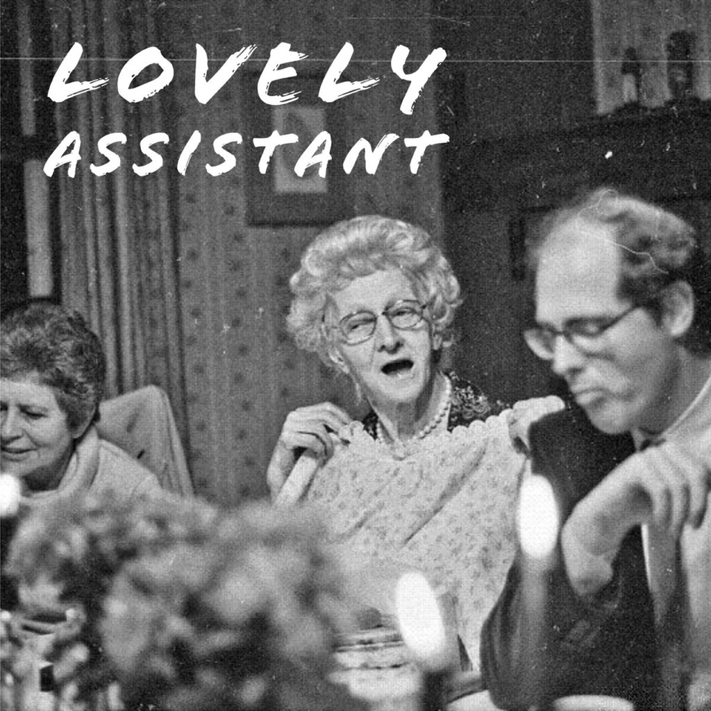 Lovely Assistant - s/t (LP)