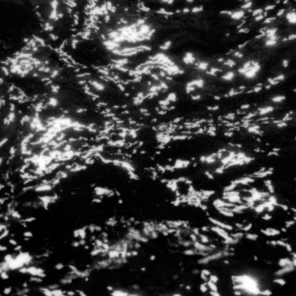 Grouper - A I A : Dream Loss (LP)