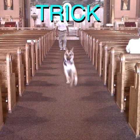 Alex G - Trick (LP + 7")