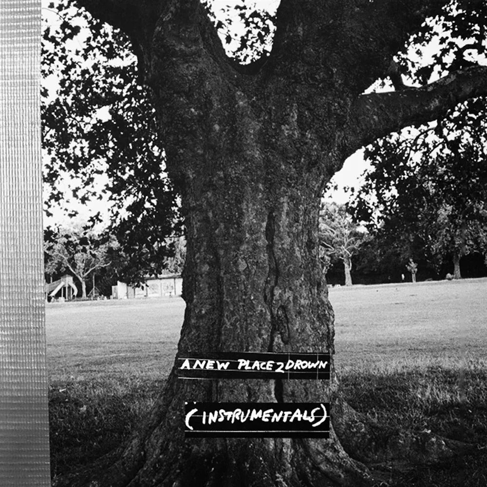 Archy Marshall (King Krule) - A New Place 2 Drown (Instrumentals) (LP)