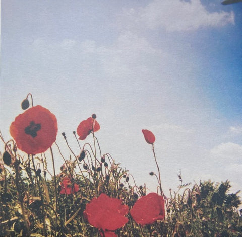 Fluisteraars - Bloem (LP)