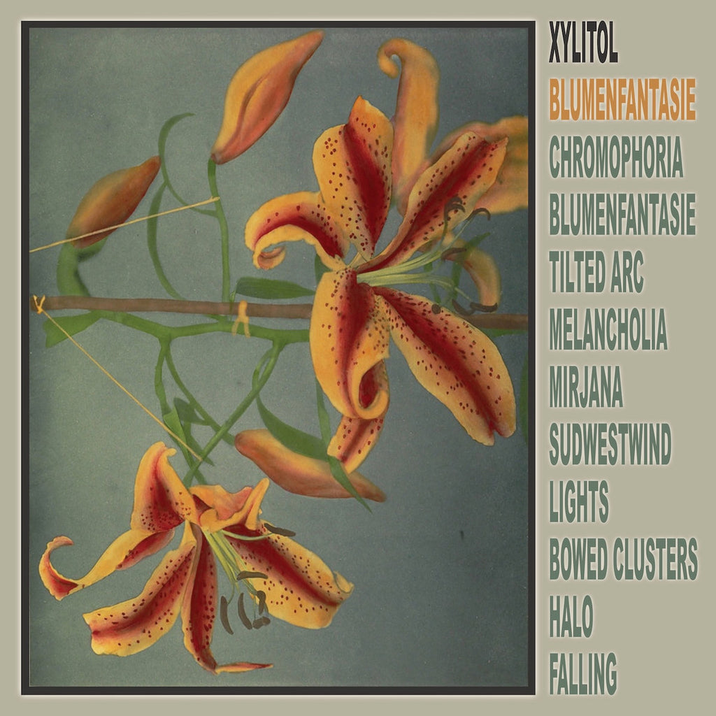 Xylitol - Blumenfantasie (LP)