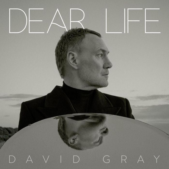 David Gray - Dear Life (2xLP, green vinyl)