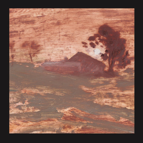 PREORDER - The Shits - Diet Of Worms (LP)