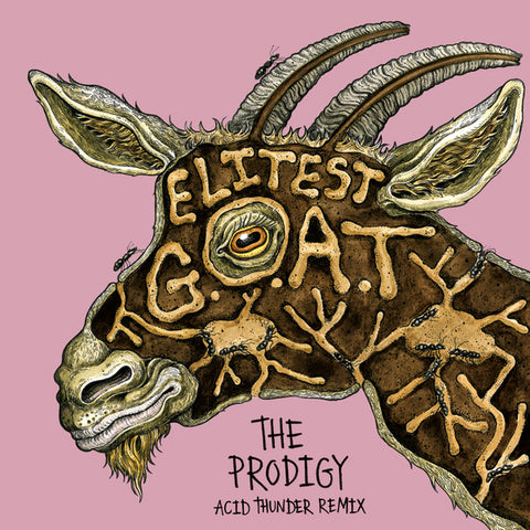Sleaford Mods - Elitest G.O.A.T. (The Prodigy Acid Thunder Mix) (7", gold vinyl)