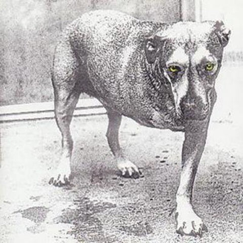 Alice In Chains - s/t (CD)
