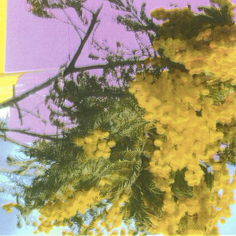 Four Tet - Into Dust (Still Falling) (12")