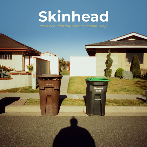 Skinhead - It's A Beautiful Day, What A Beautiful Day (LP, blue vinyl)