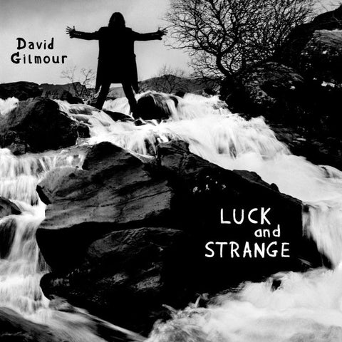 David Gilmour - Luck And Strange (LP, opaque silver vinyl)