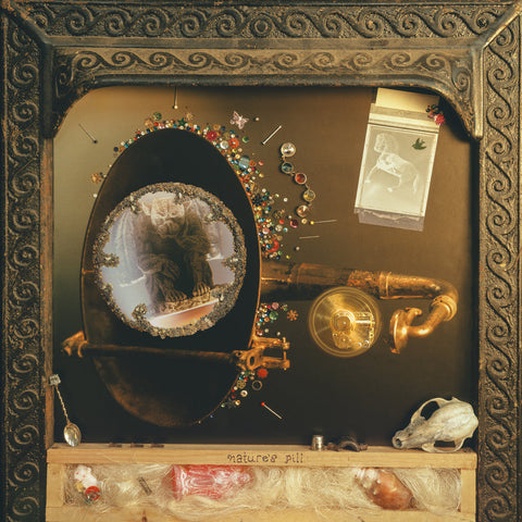 Wishy - Nature's Pill (LP, devils blush pink vinyl)