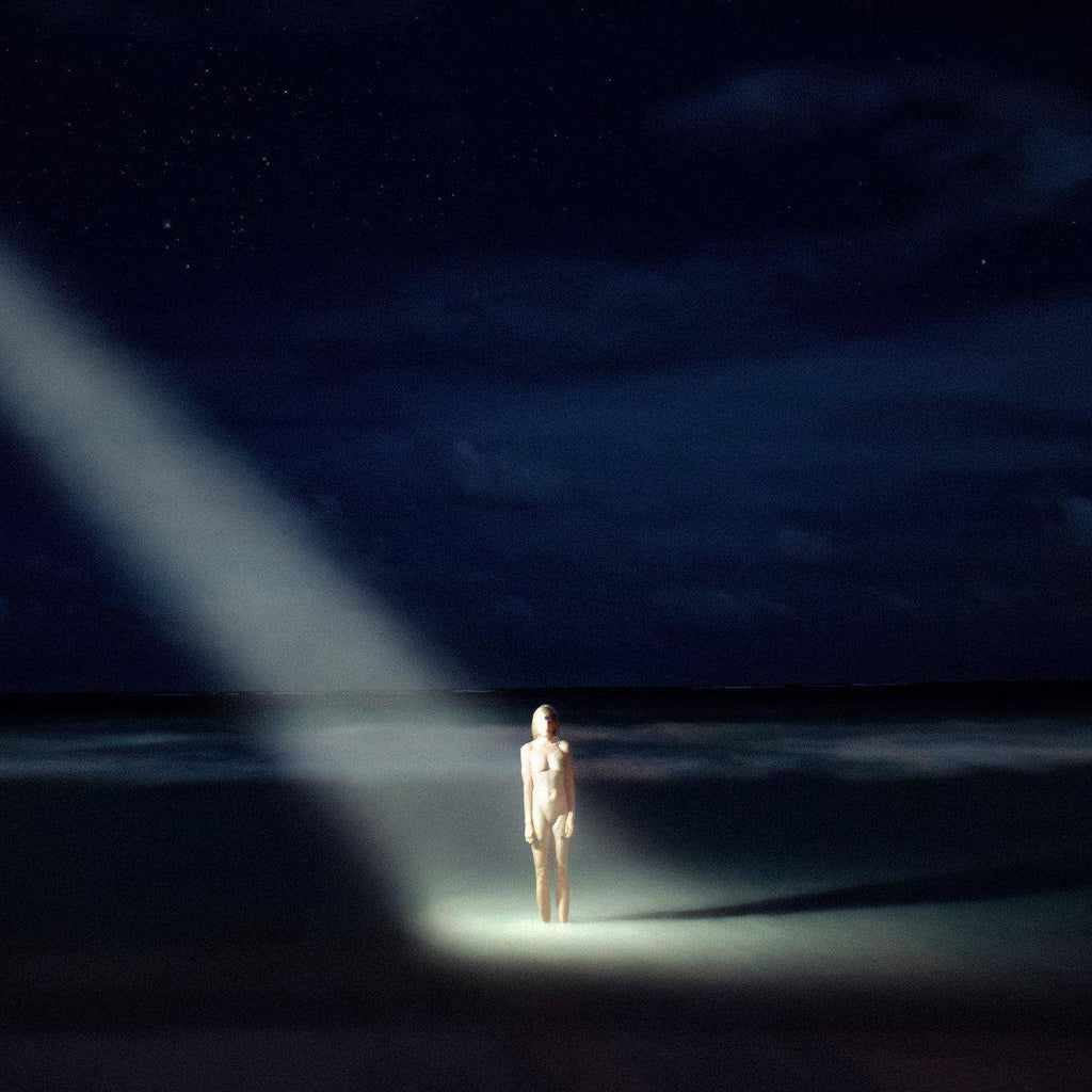 Ellen Allien - New Life (2xLP)