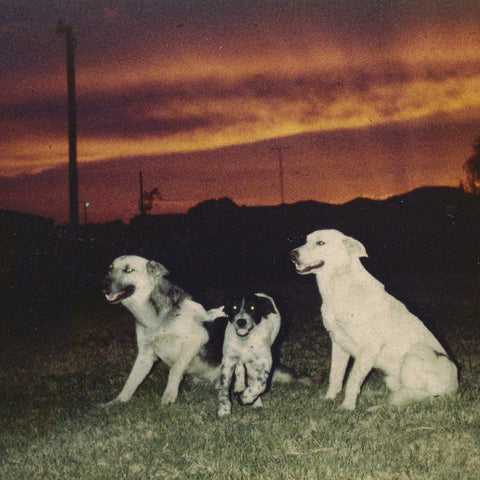Sennen - New Quiet (LP, golden retriever vinyl)