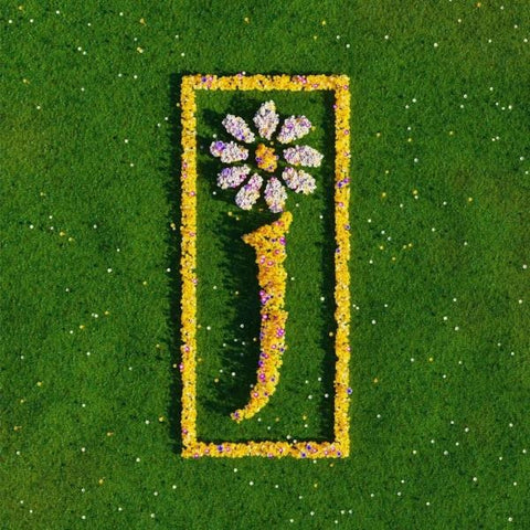 James - Nothing But Love: The Definitive Best Of (2xLP)