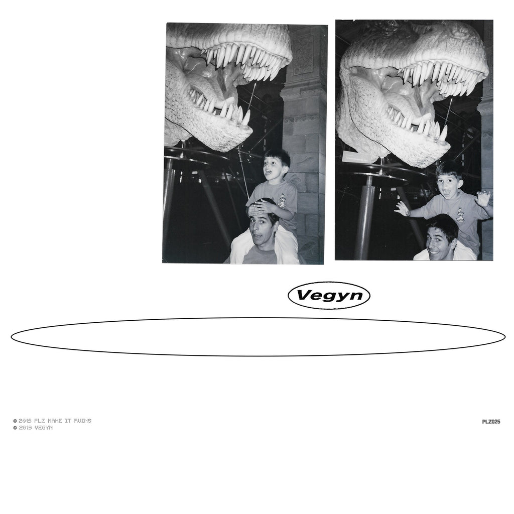 Vegyn - Only Diamonds Cut Diamonds (2xLP, 5th anniversary edition)