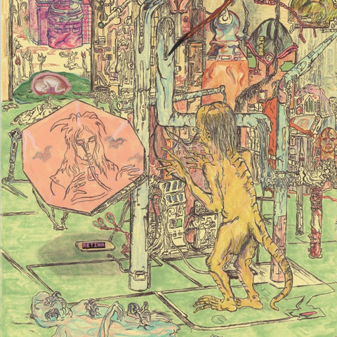 Wiccans - Phase IV (LP)