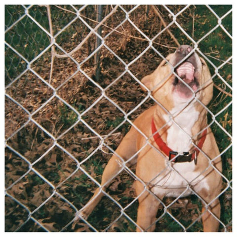 Knocked Loose - Pop Culture (12", black, orange and red vinyl)