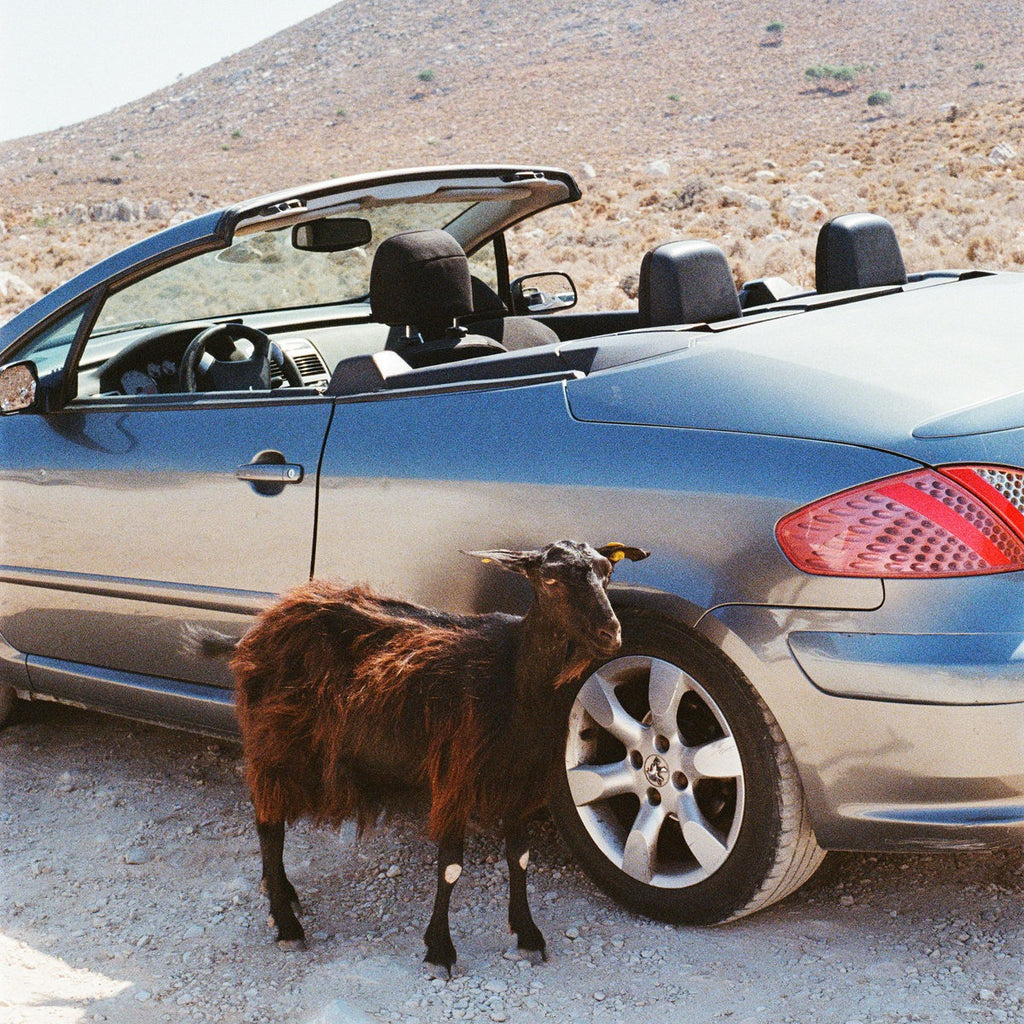 EXEK - Prove The Mountains Move (LP)