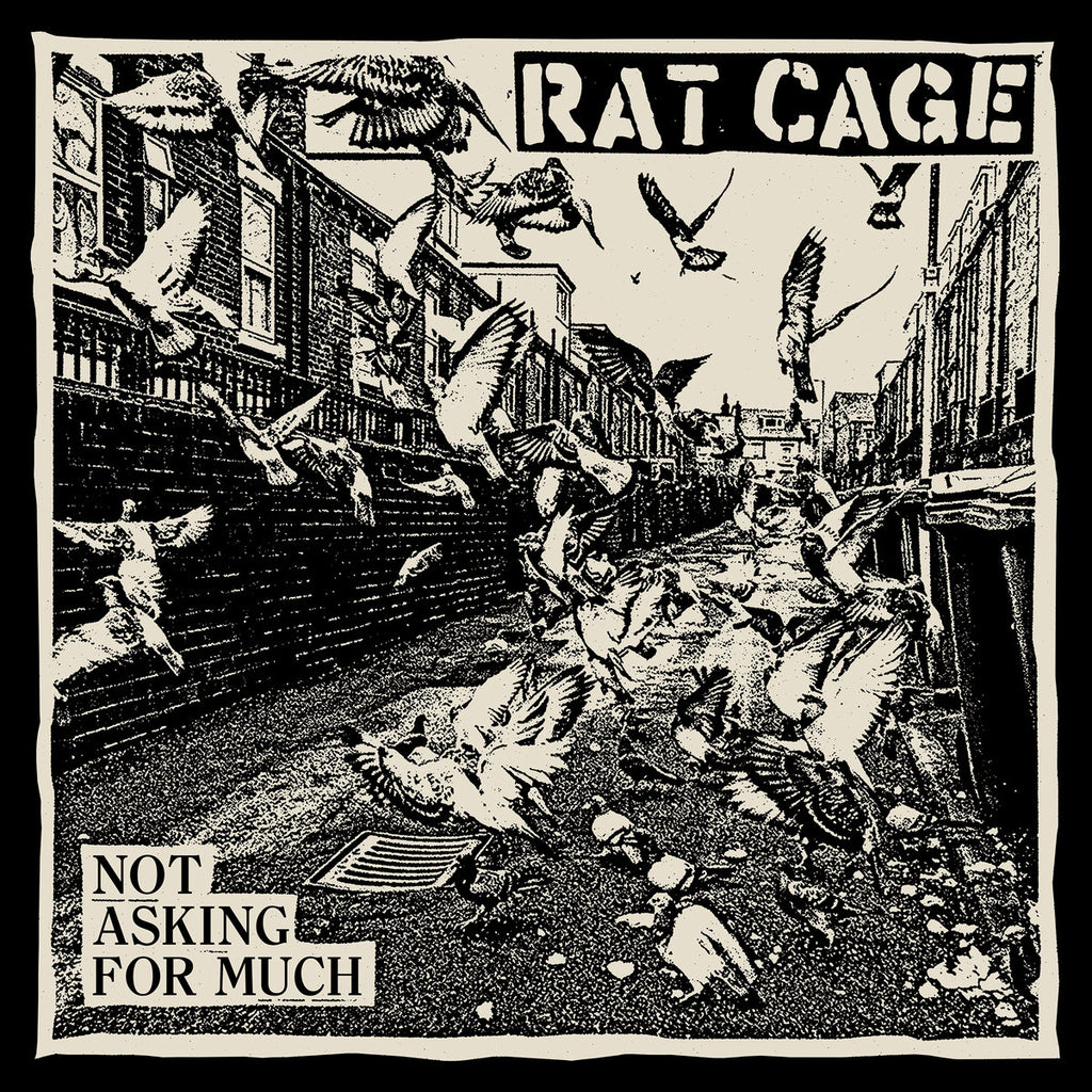 Rat Cage - Not Asking For Much (LP)