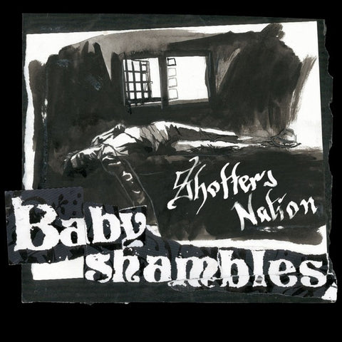 SALE: Babyshambles - Shotter's Nation (LP, clear vinyl) was £27.99