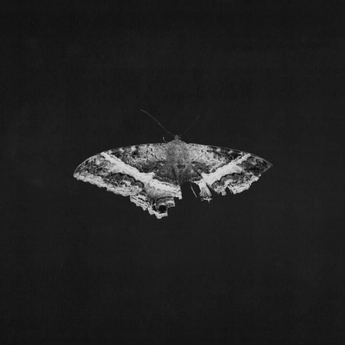 Kendrick Lamar - To Pimp A Butterfly (2xLP, 10th anniversary metallic blend vinyl)