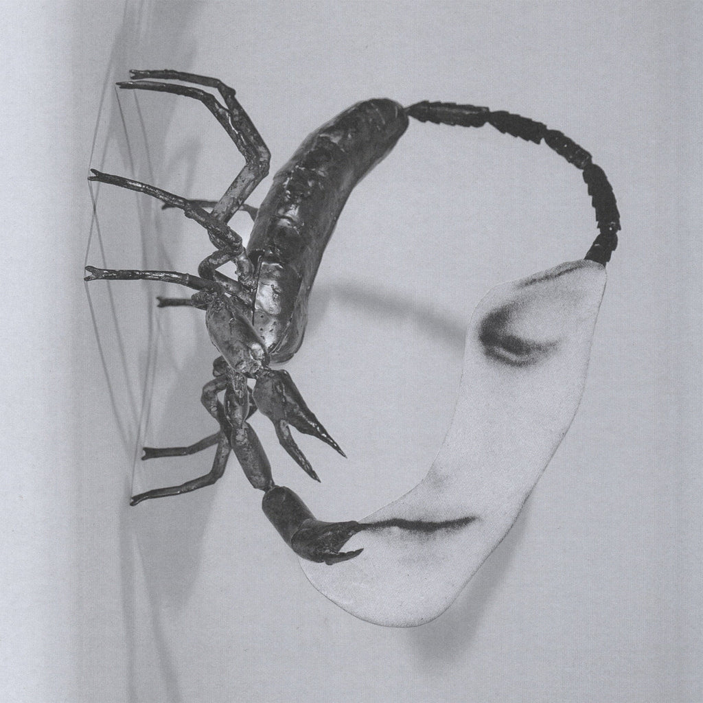 Tortoise - Touch (LP)