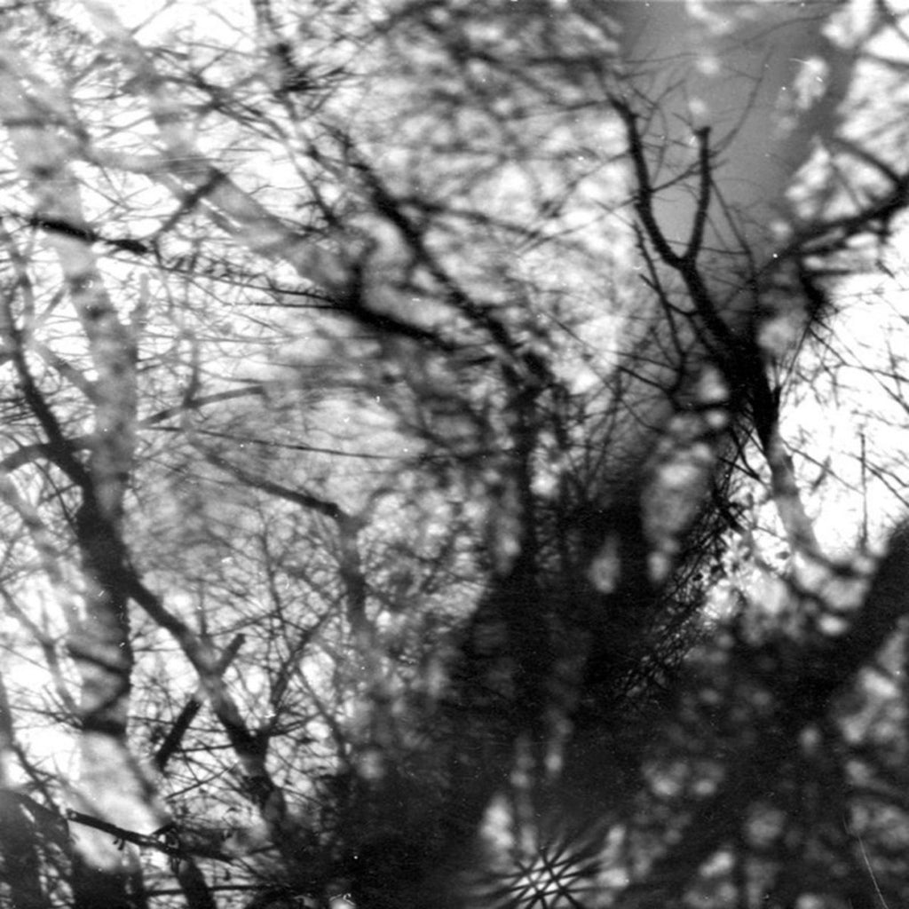 Grouper - Way Their Crept (LP)