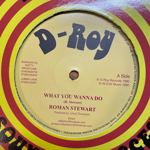 Roman Stewart/Revolutionaries - What You Wanna Do/Rockers Delight (12")