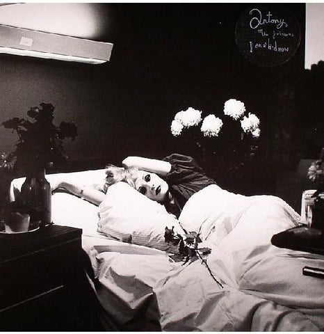 Antony & The Johnsons - I Am A Bird Now (LP)