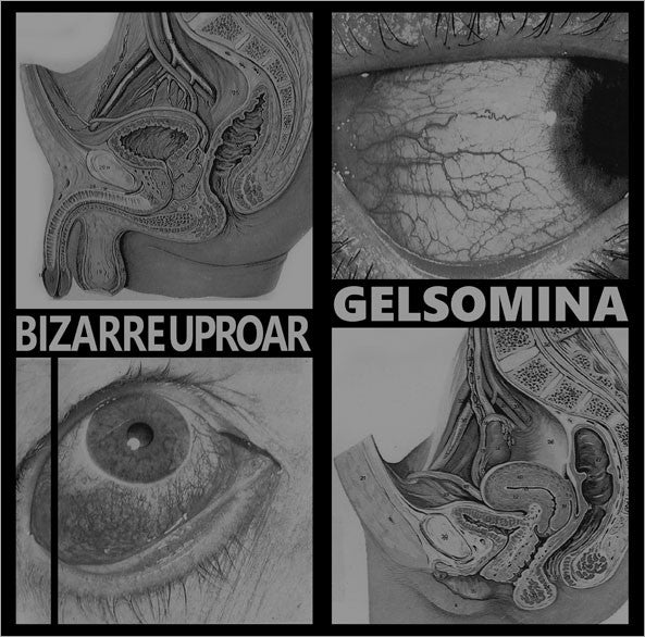 Gelsomina / Bizarre Uproar - Älä Tee Huorin (12")
