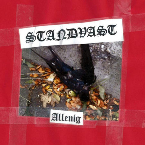 SALE: Standvast - Allenig (CD) was £9.99