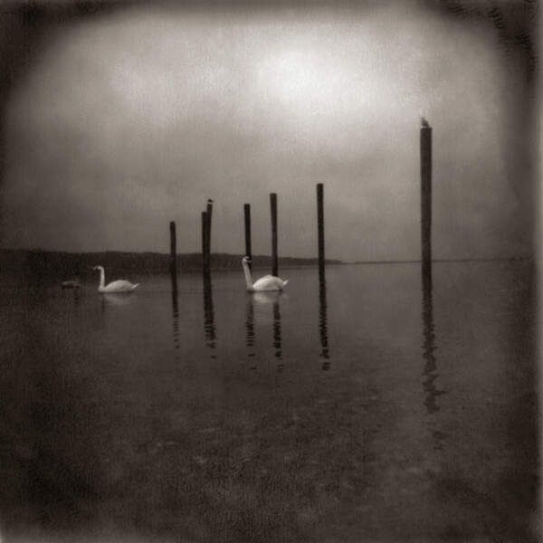 OM - Conference Of The Birds (LP)