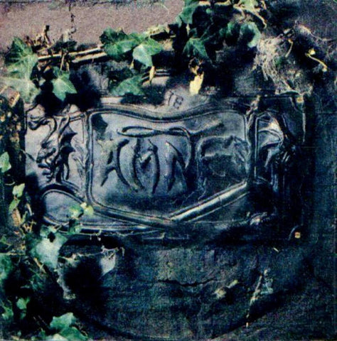 The Damned - The Black Album (2xLP)