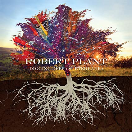 Robert Plant - Digging Deep: Subterranea (2xCD)