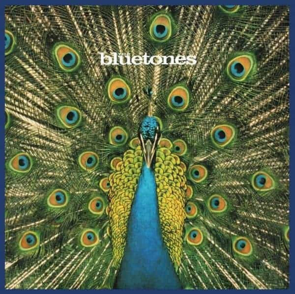 The Bluetones - Expecting to Fly (LP)