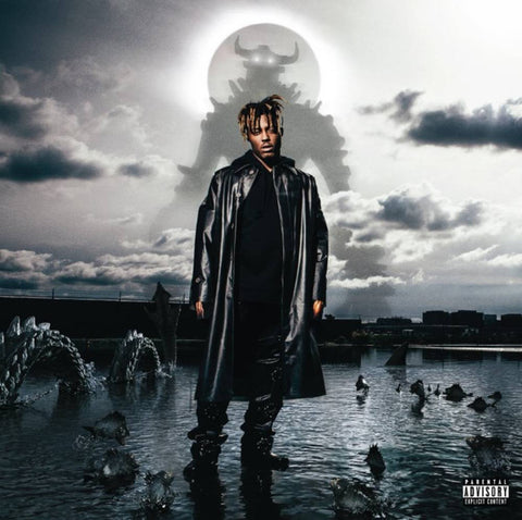 Juice WRLD - Fighting Demons (2xLP)