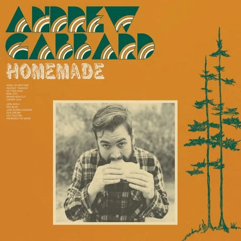 SALE: Andrew Gabbard - Homemade (LP, indies-only green vinyl) was £20.99