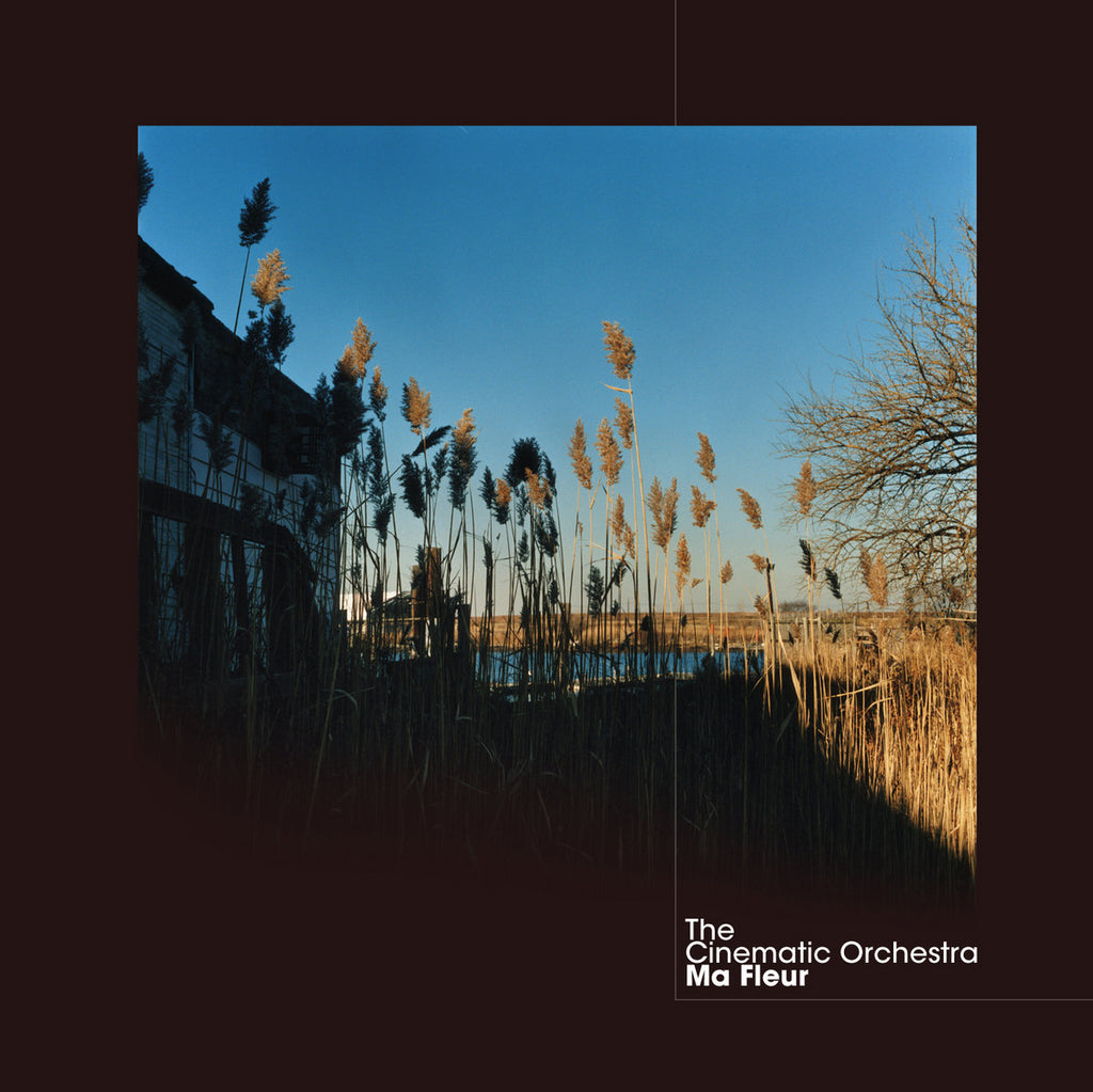 The Cinematic Orchestra - Ma Fleur (2xLP, clear vinyl)