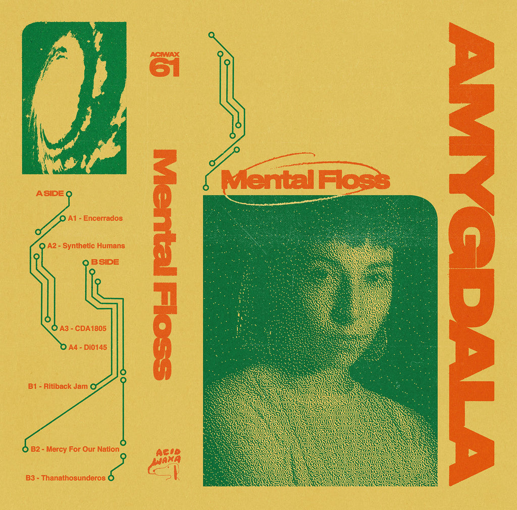 Amygdala - Mental Floss (MC)